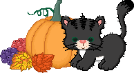 kitty & pumpkin