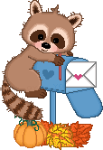 Raccoon Mailbox