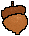 acorn